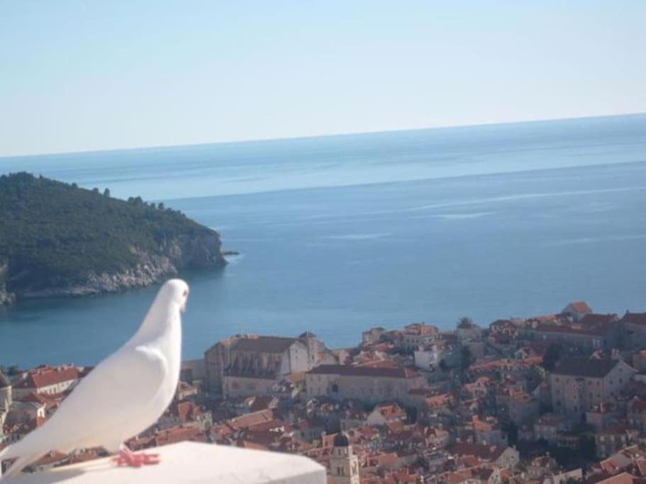 Romantic Ap,With Amazing View Dubrovnik Eksteriør bilde